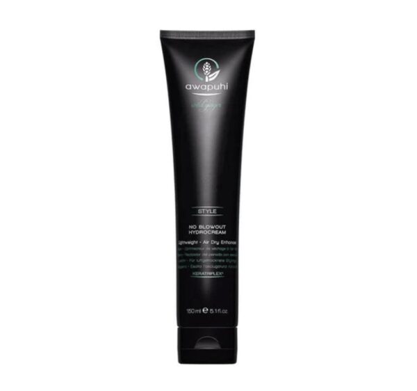 Paul Mitchell Awapuhi No Blowout Hydrocream 150ml