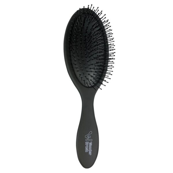 Hi Lift Wet And Dry Wonder Brush - Black